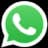 WhatsApp icon