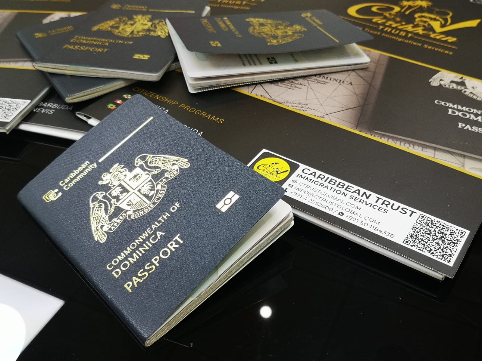 Advisor reviewing citizenship applications